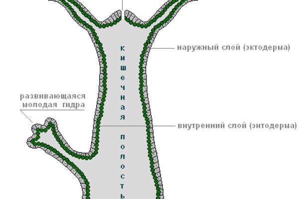 Кракен маркетплейс что продают