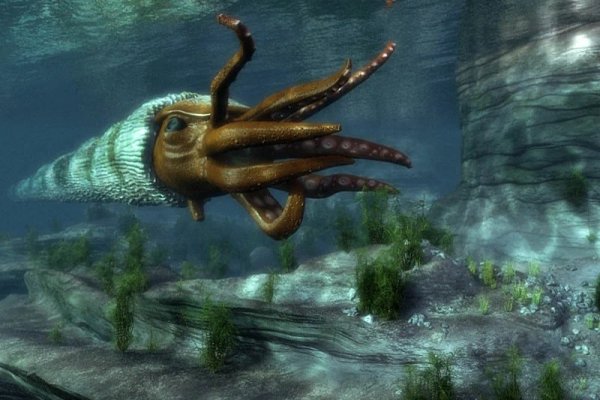 Kraken официальные зеркала