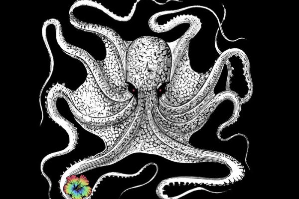 Kraken 12