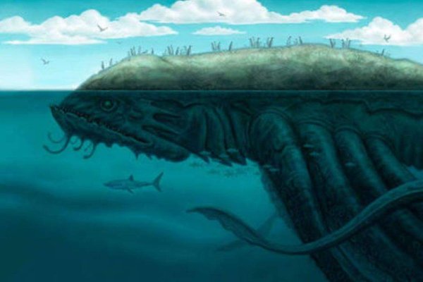 Hydra kraken
