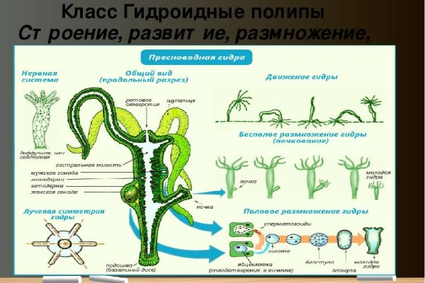 Даркнет каталог