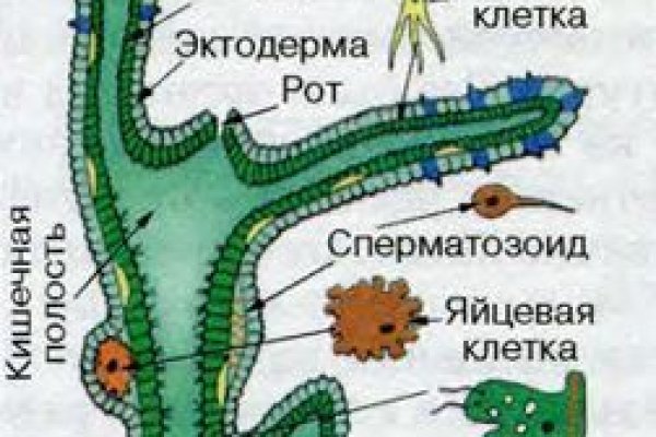 Рабочая ссылка на кракен в торе