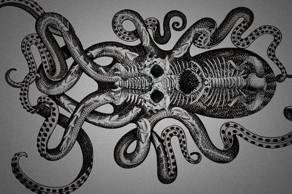 Kraken 11at