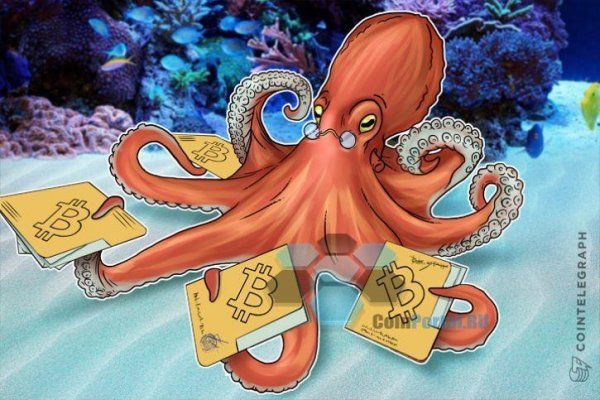 Kraken 12at