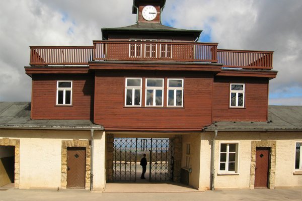 Значок кракена маркетплейса